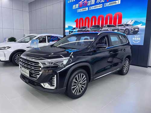 奇瑞捷途、星途雙店試營業(yè)12.jpg